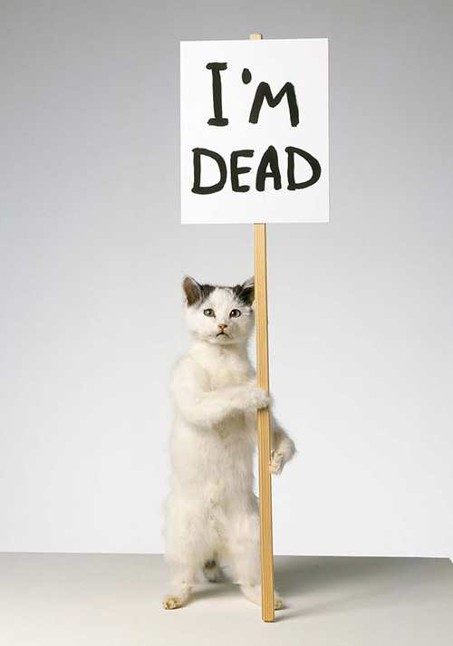 David Shrigley, I'm Dead, 2007, © David Shrigley. The David and Indrė Roberts Collection. Courtesy the artist and Stephen Friedman Gallery, London