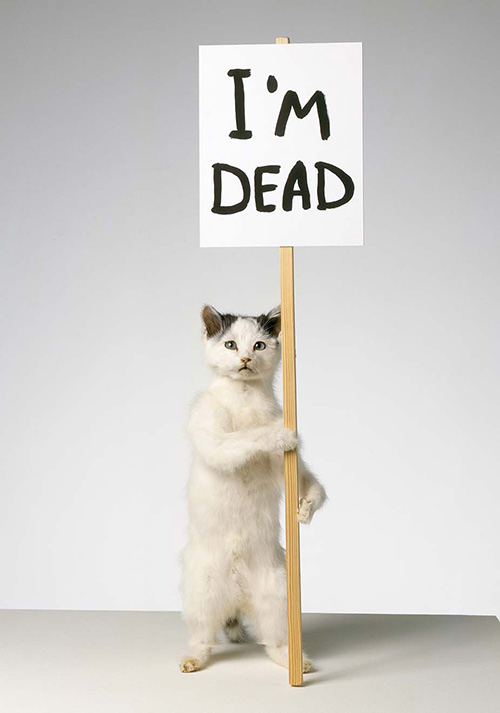 David Shrigley, I'm Dead, 2007, © David Shrigley. Courtesy the artist and Stephen Friedman Gallery, London