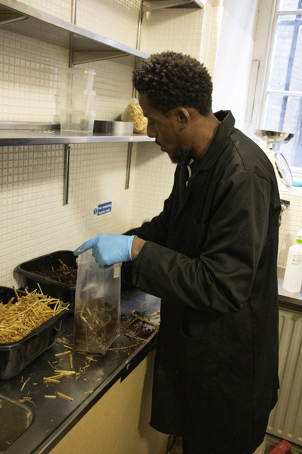 A man is adding some straw to a plastic bag