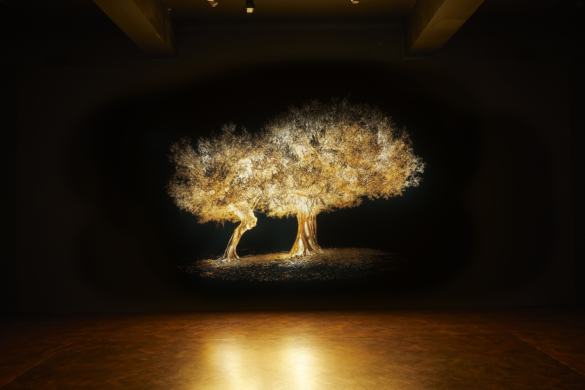 A photo of the Pavilion of Greece. It shows an image of a large glowing tree in a dark room.