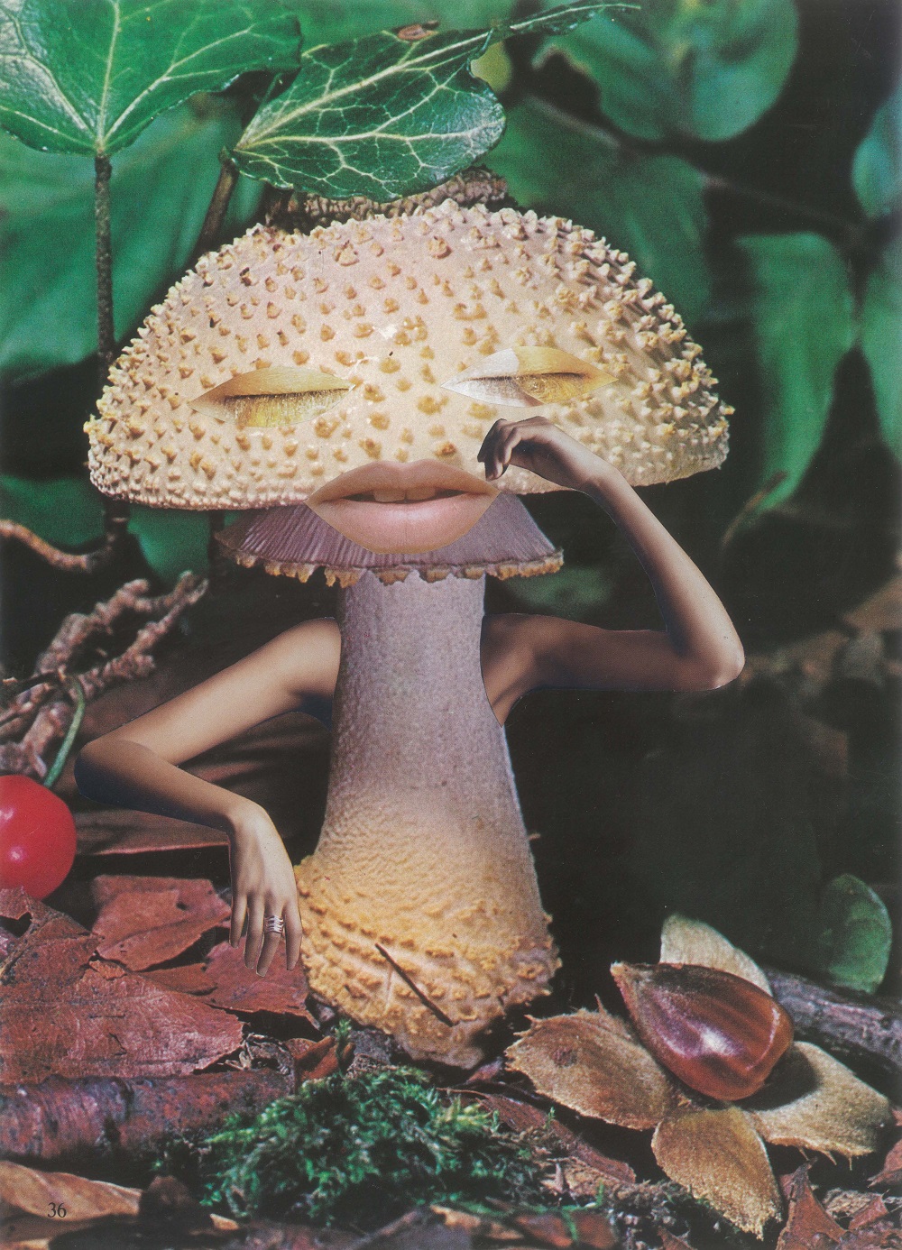Artwork: Mindful Mushroom - Seana Gavin