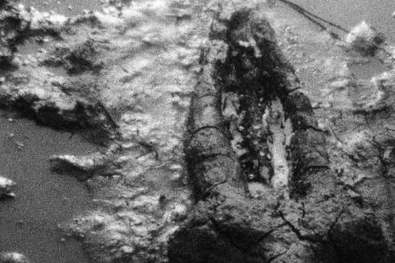 (Un)Earthing Soil