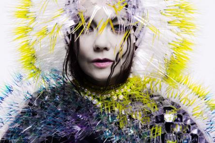 Björk, Vulnicura album art