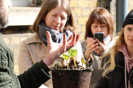 Edible Utopia Tours
