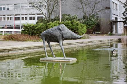 Out There - Elisabeth Frink, Boar, Harlow