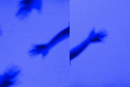 An artwork by Shenece Oretha. It shows blurred depictions of arms and hand reaching out. They are dark blue against a light blue background.