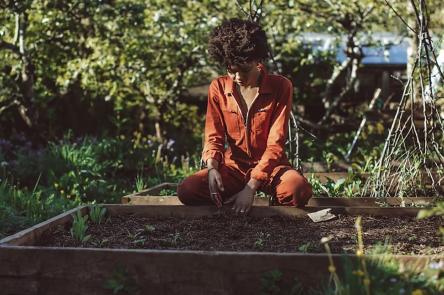 Intuitions for Soil