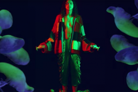 Mushrooms video still