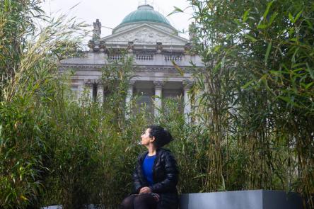 A large scale installation in the Edmond J. Safra Fountain Court at Somerset House by artist Zheng Bo features a forest of varying types of bamboo. Photo by Dave Parry