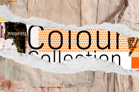 The Macallan Colour Collection