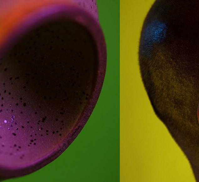 An artwork by Ilona Sagar, that shows two images on stylised, coloured backgrounds. On the left hand image is a purple concave shaped with darker purple dots on it. On the right handside is a profile view of a shaved head, with stubbled hair and an ear