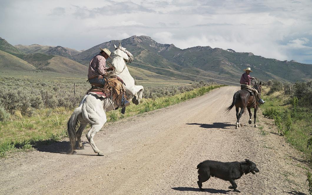 LucasFoglia - FRONTCOUNTRY - Casey and Rowdy Horse Training