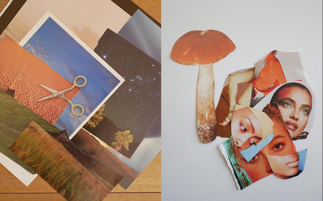 Pages and cut-outs of landscapes and mushrooms from old magazines