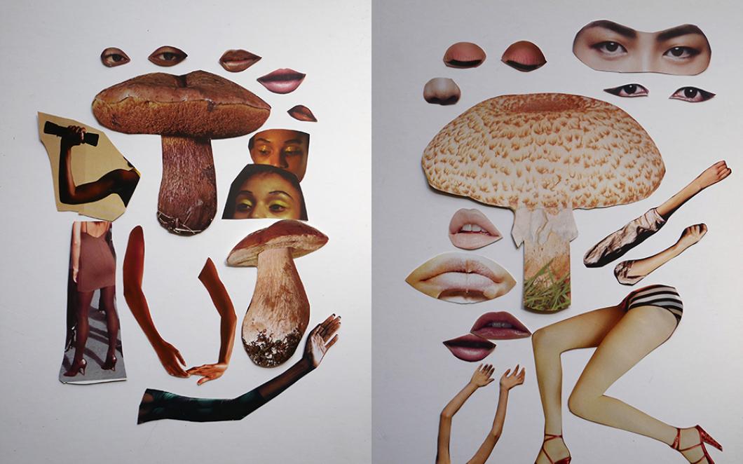 Cut-out images of mushrooms and arms and legs