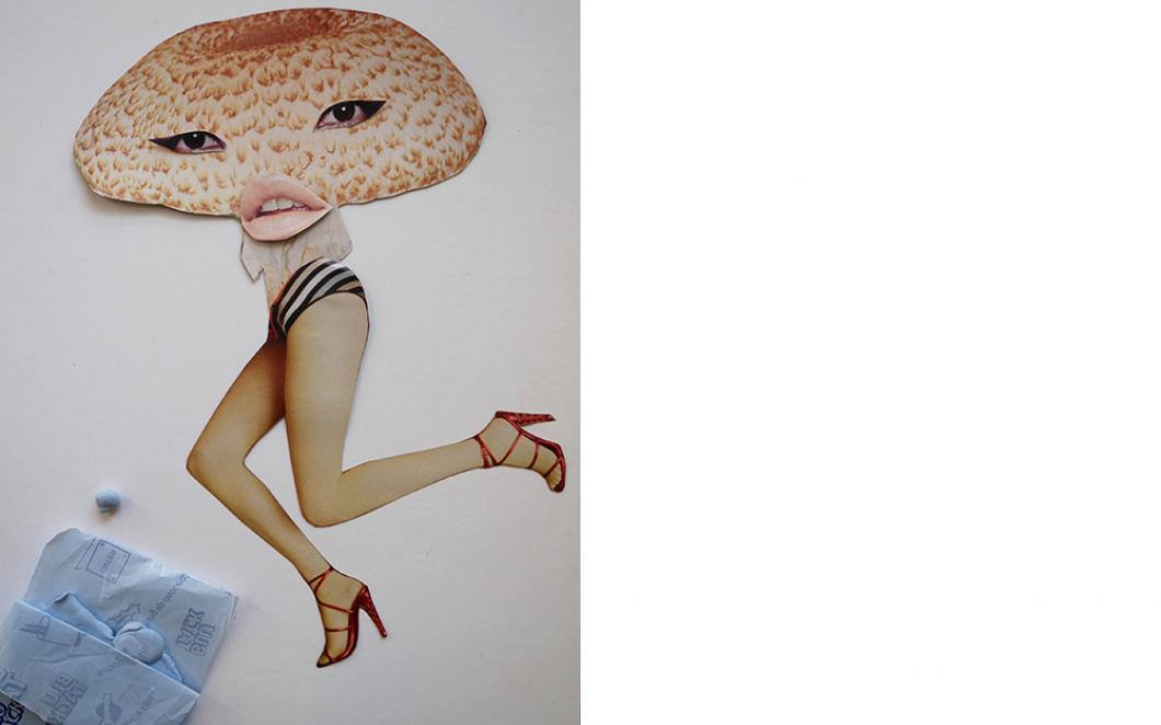 Mushroom collage