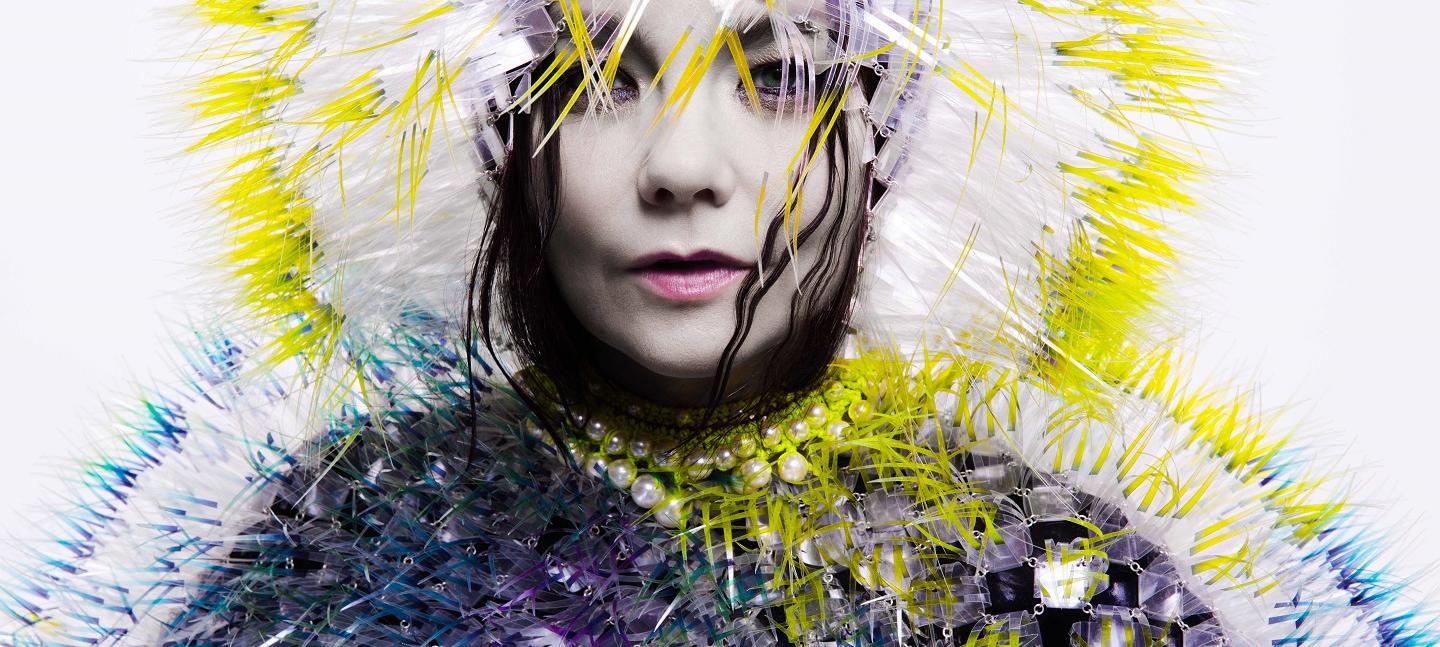 Björk, Vulnicura album art