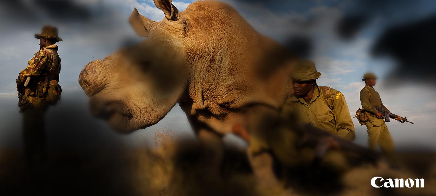 Canon World Unseen exhibition image shows a rhinoceros shorn of its horn being guarded by three soldiers