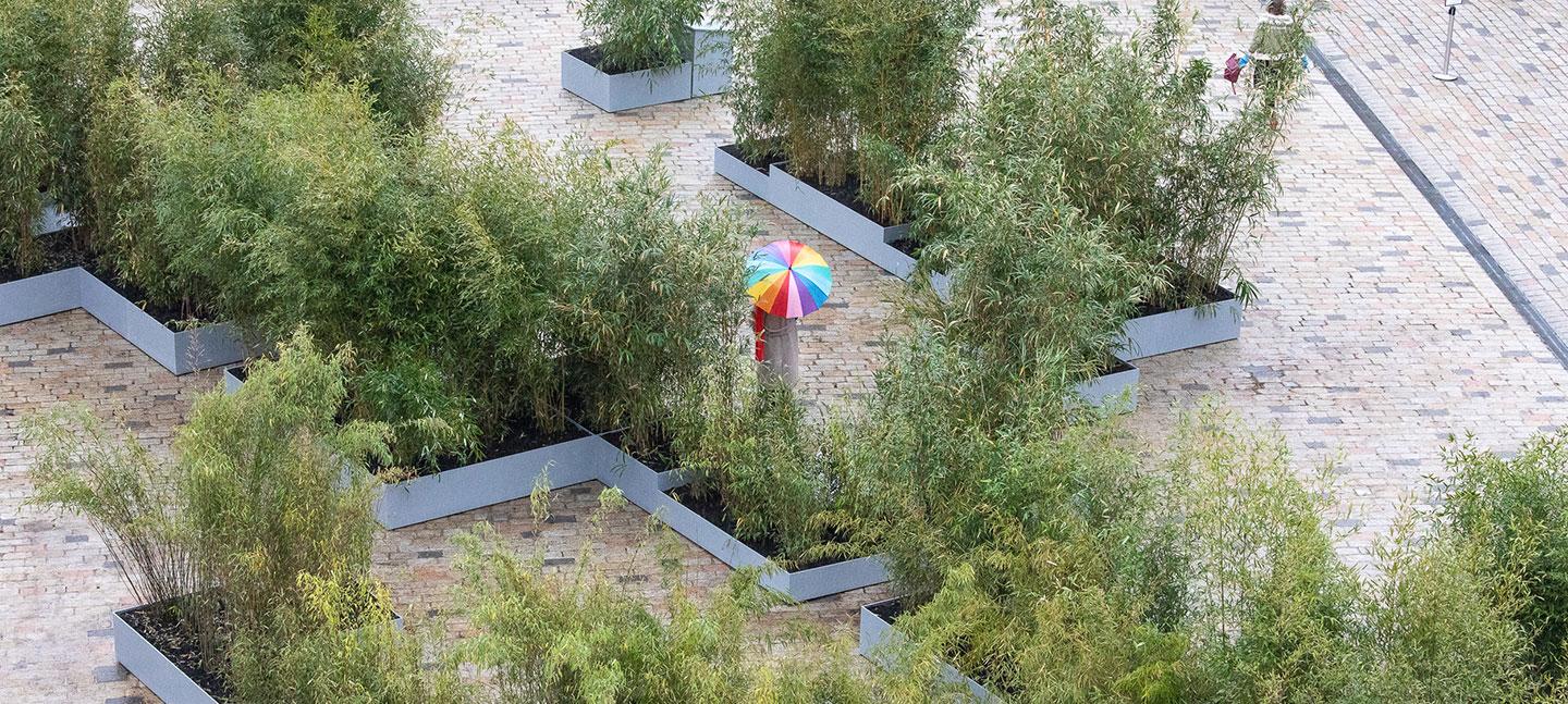 Zheng Bo - Bamboo as Method - Somerset House