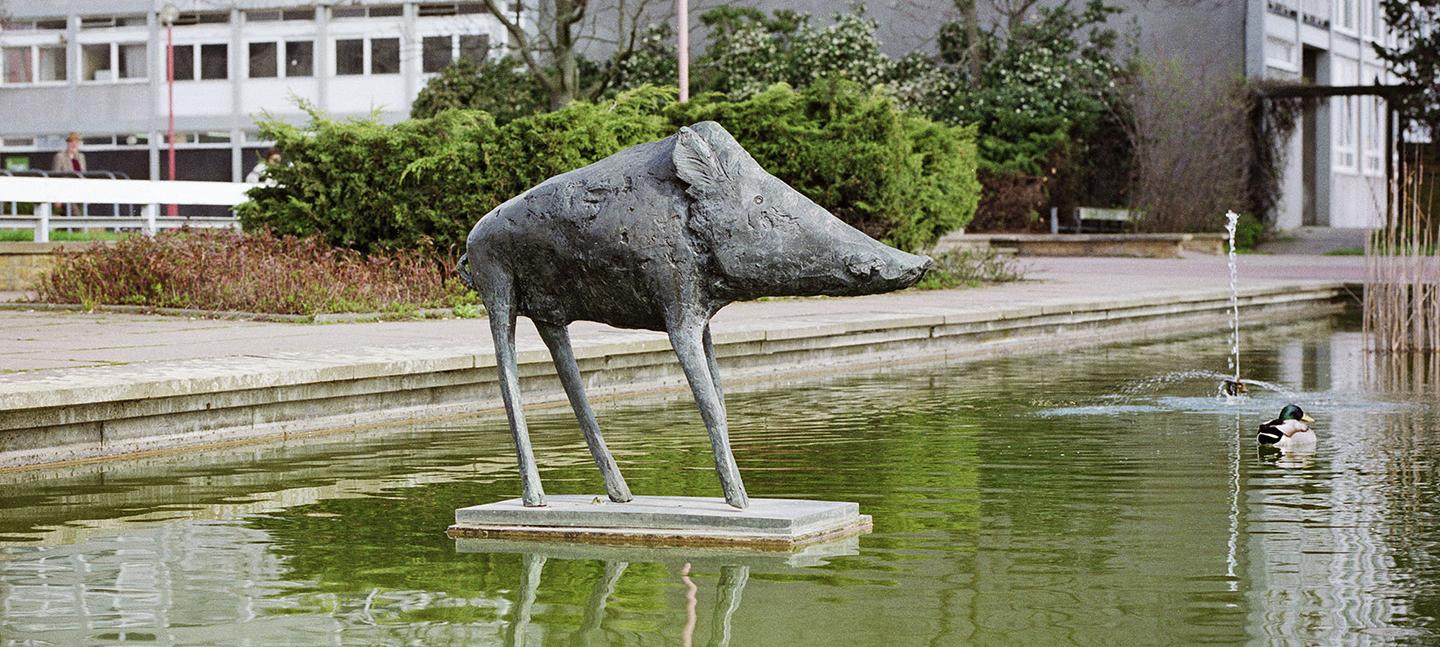 Out There - Elisabeth Frink, Boar, Harlow
