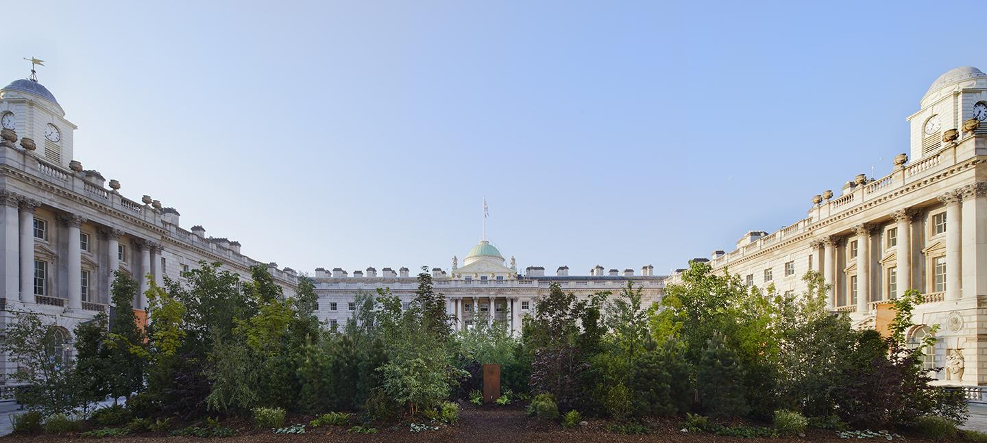 A photo of Somerset House courtyard, filled with trees