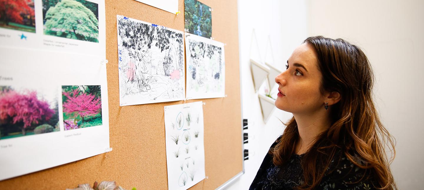 A photo of Mirelle Phillips looking at a pin board with focus. On the pin board are photos of trees alongside drawings and diagrams.