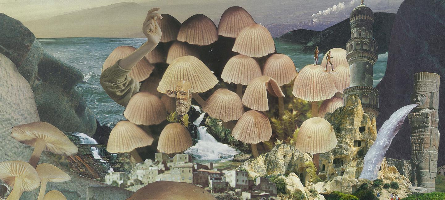 Mushrooms: The Art, Design and Future of Fungi | Somerset House
