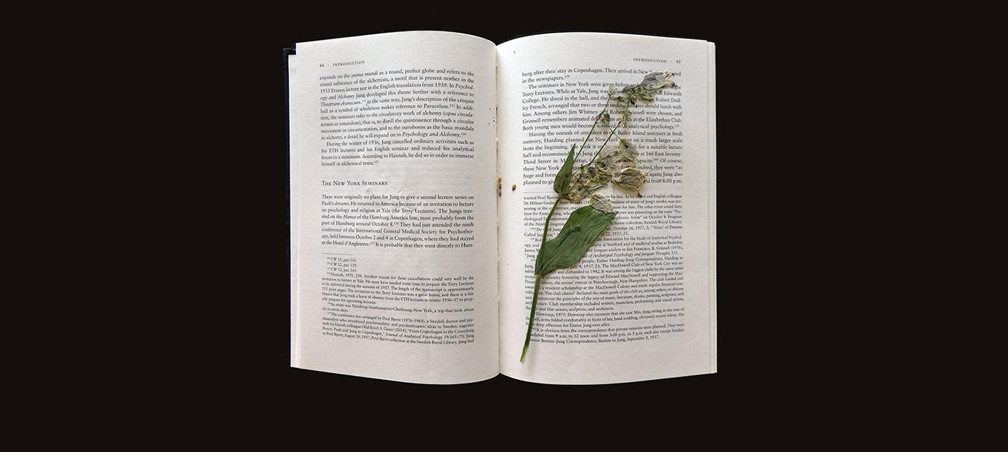Suzanne Treister, Scientific Dreaming/Wild Flowers (pages 44-45), Photograph 33 x 44 cm 2022. Courtesy the artist, Annely Juda Fine Art, London and P.P.O.W. Gallery, New York