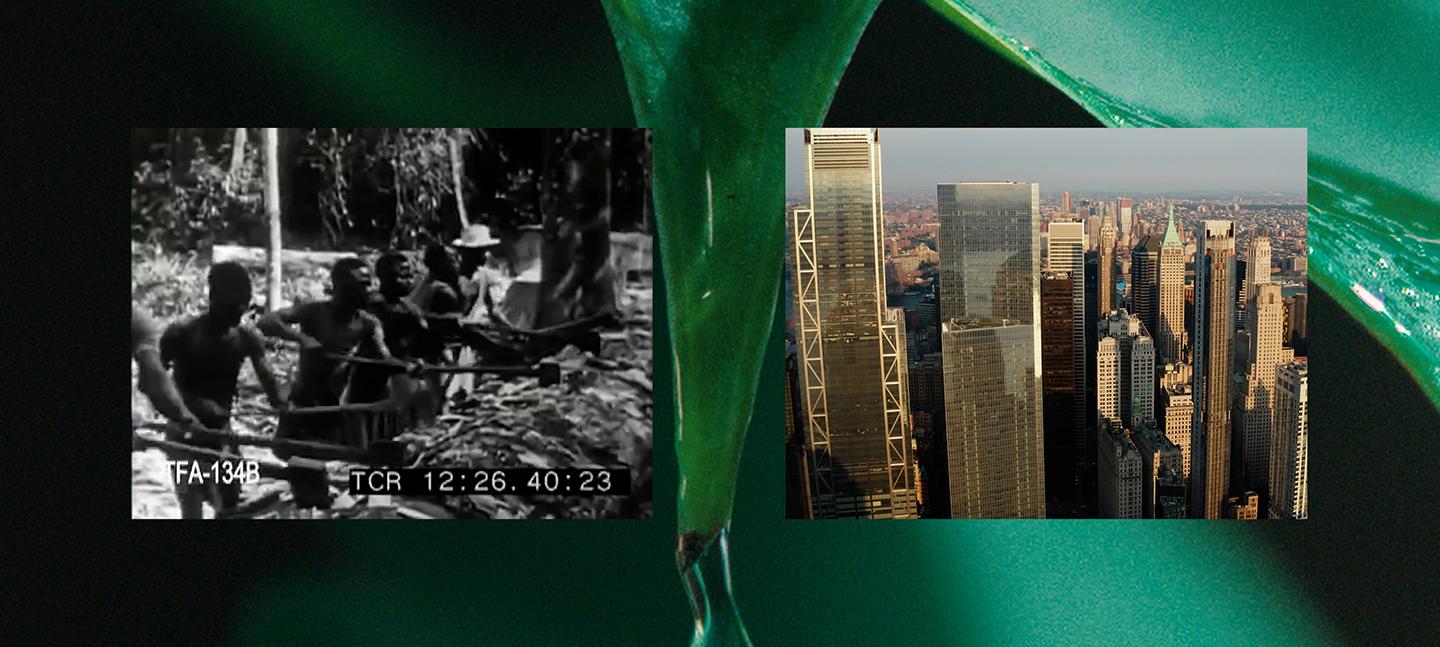 A still from the We Are History short film. 2 images are placed side by side, overlaying an image of a green plant. 1 shows a group of Black men working hard labour. 2 shows a city with countless highrise buildings and no greenery. 