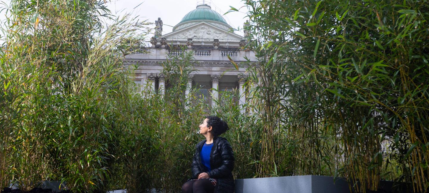 A large scale installation in the Edmond J. Safra Fountain Court at Somerset House by artist Zheng Bo features a forest of varying types of bamboo. Photo by Dave Parry