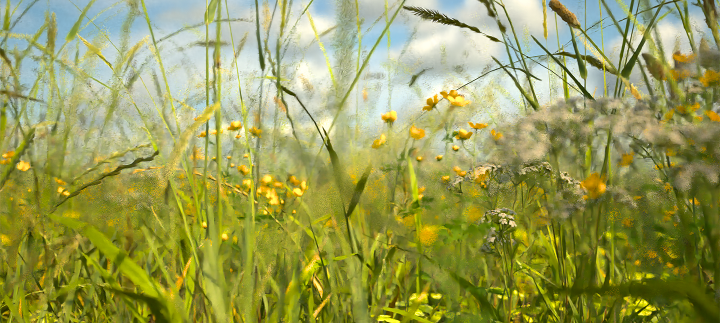 Artwork by Alan Warburton showing a CGI rendered image of a field with yellow flowers and blue sky