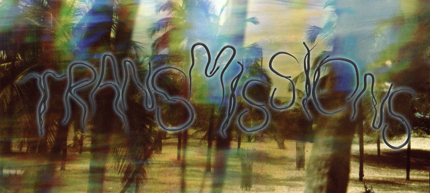 Photo of a beach with palm tree glitches. It reads 'Transmissions' 