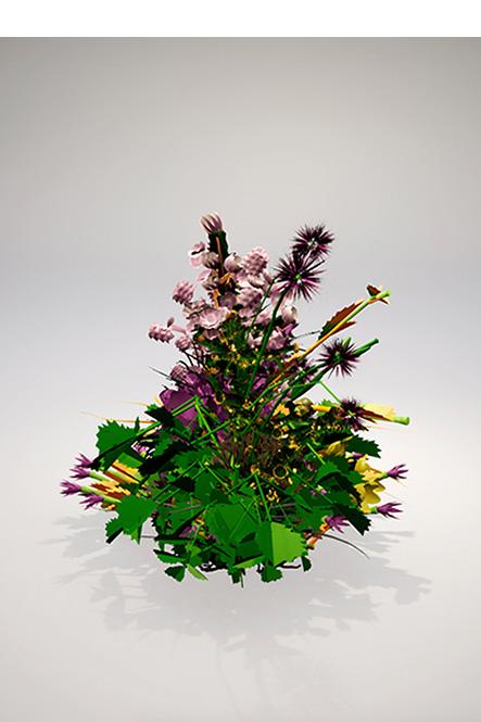 Alexandra Daisy Ginsburg | A Bunch of Martian Flowers, from The Wilding of Mars