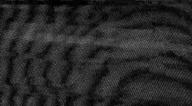 An image of TV static - grey flecks on black background.