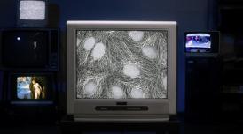 A photo of a TV screen to accompany a profile film on artist Sonya Dyer