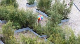 Zheng Bo - Bamboo as Method - Somerset House