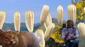 A composite image by and of Taylor Le Melle. Taylor sits to the right of the image with a drink in their hnd. To the left is a big cat. Both images are superimposed on mountains/blue sky with yellow flowers and blonde seed-like shaped dotted around.