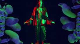 Mushrooms video still