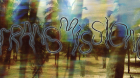 Photo of a beach with palm tree glitches. It reads 'Transmissions' 